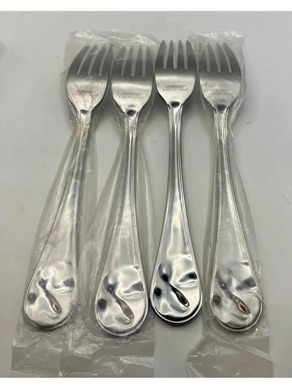 Cambridge CARIBOU Stainless China 20 Piece Set (4) 5 Piece Place Settings